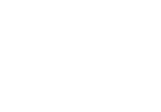 2D Image Reports 2D Image Reports